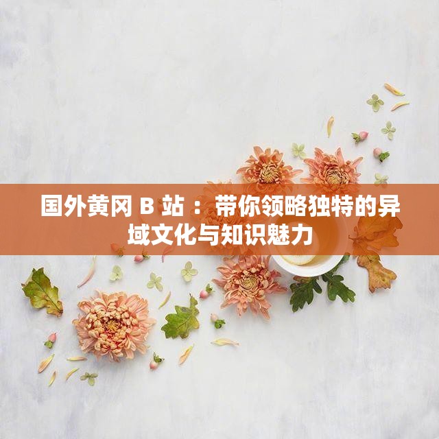 国外黄冈 B 站 ：带你领略独特的异域文化与知识魅力