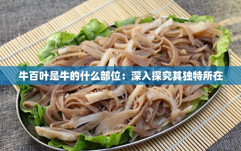 牛百叶是牛的什么部位：深入探究其独特所在