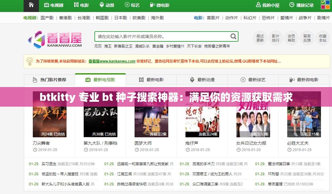btkitty 专业 bt 种子搜索神器：满足你的资源获取需求