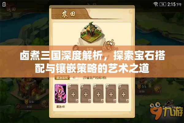 卤煮三国深度解析，探索宝石搭配与镶嵌策略的艺术之道