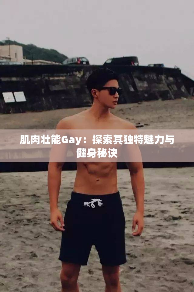肌肉壮能Gay：探索其独特魅力与健身秘诀