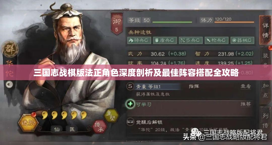 三国志战棋版法正角色深度剖析及最佳阵容搭配全攻略