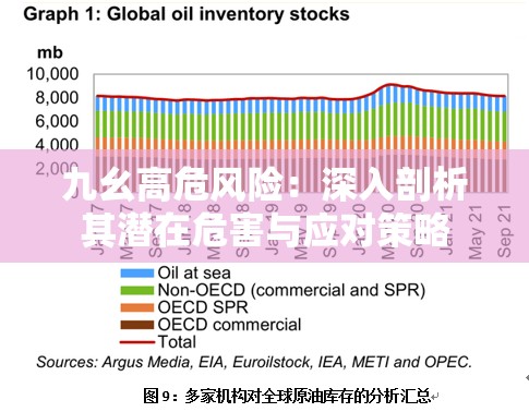 九幺高危风险：深入剖析其潜在危害与应对策略
