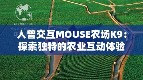 人曾交互MOUSE农场K9：探索独特的农业互动体验之旅