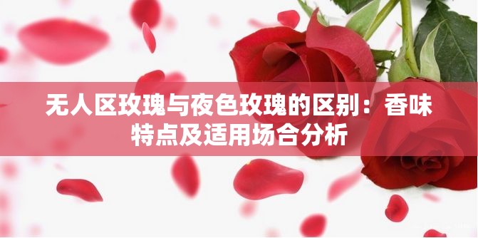 无人区玫瑰与夜色玫瑰的区别：香味特点及适用场合分析