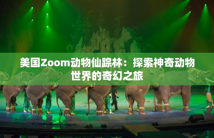 美国Zoom动物仙踪林：探索神奇动物世界的奇幻之旅