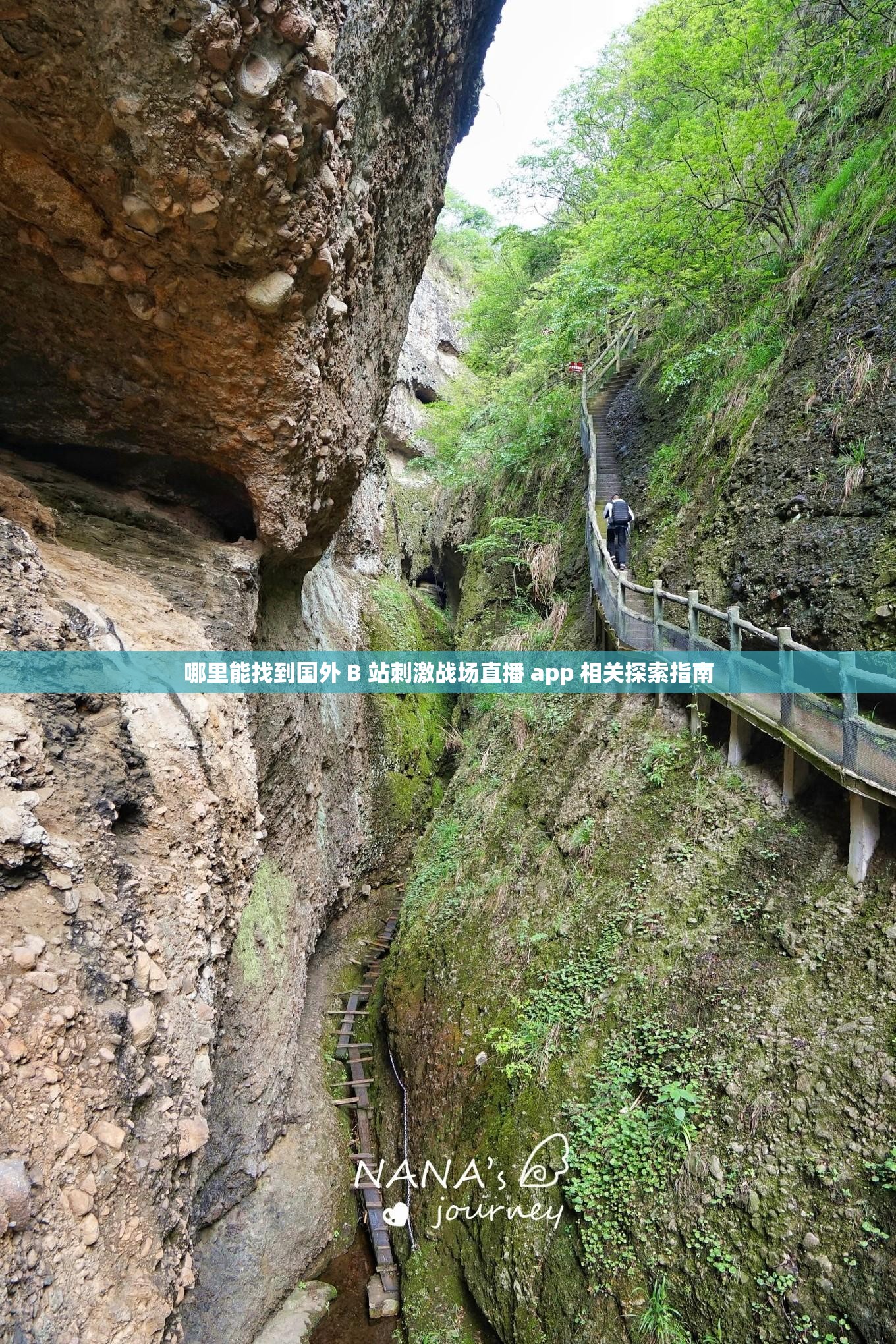哪里能找到国外 B 站刺激战场直播 app 相关探索指南