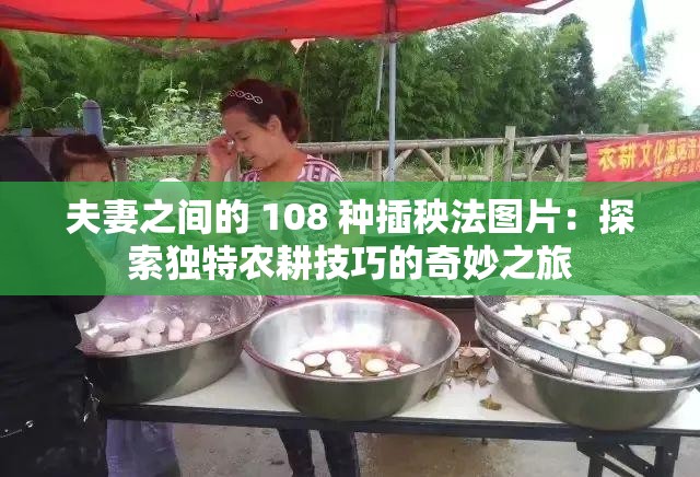 夫妻之间的 108 种插秧法图片：探索独特农耕技巧的奇妙之旅
