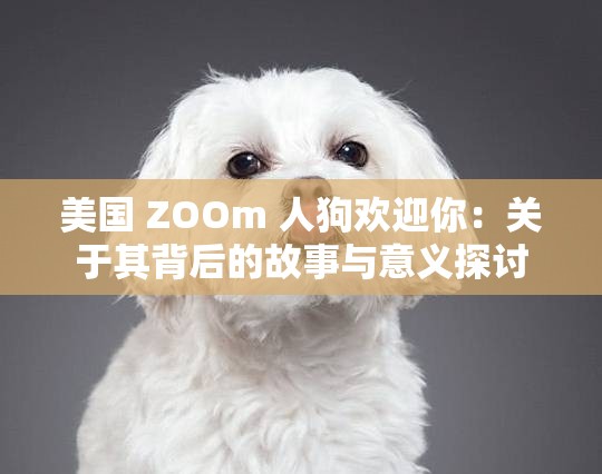 美国 ZOOm 人狗欢迎你：关于其背后的故事与意义探讨
