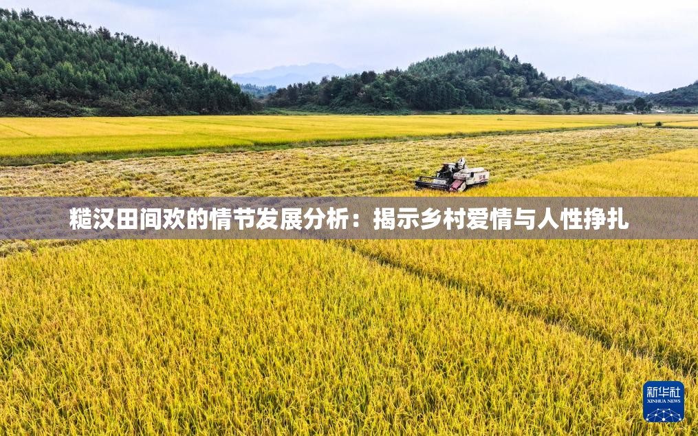 糙汉田间欢的情节发展分析：揭示乡村爱情与人性挣扎