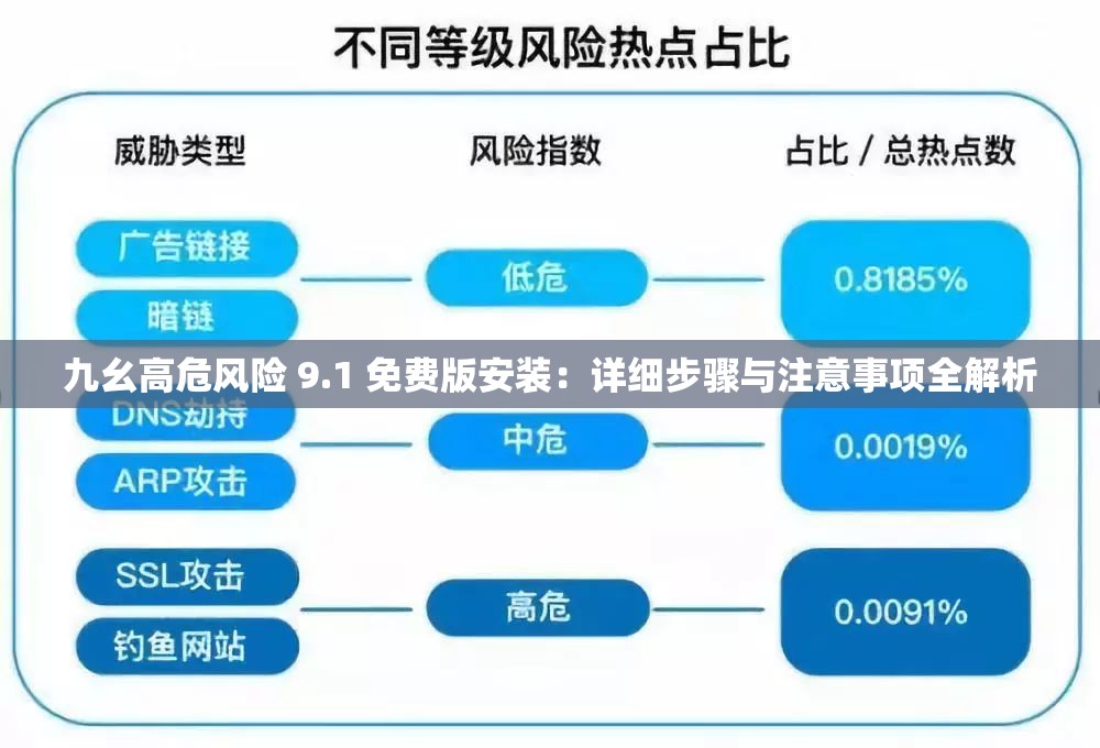 九幺高危风险 9.1 免费版安装：详细步骤与注意事项全解析