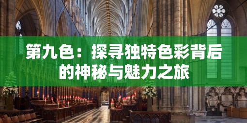 第九色：探寻独特色彩背后的神秘与魅力之旅