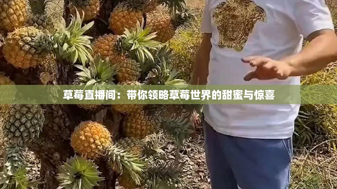 草莓直播间：带你领略草莓世界的甜蜜与惊喜