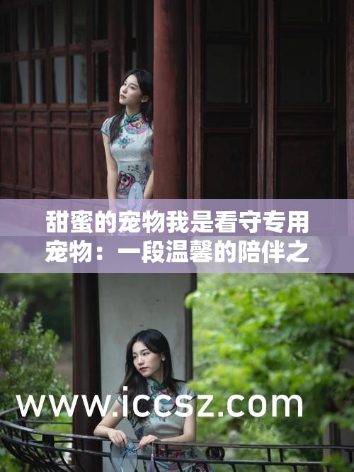 甜蜜的宠物我是看守专用宠物：一段温馨的陪伴之旅