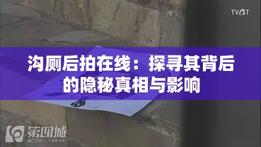 沟厕后拍在线：探寻其背后的隐秘真相与影响