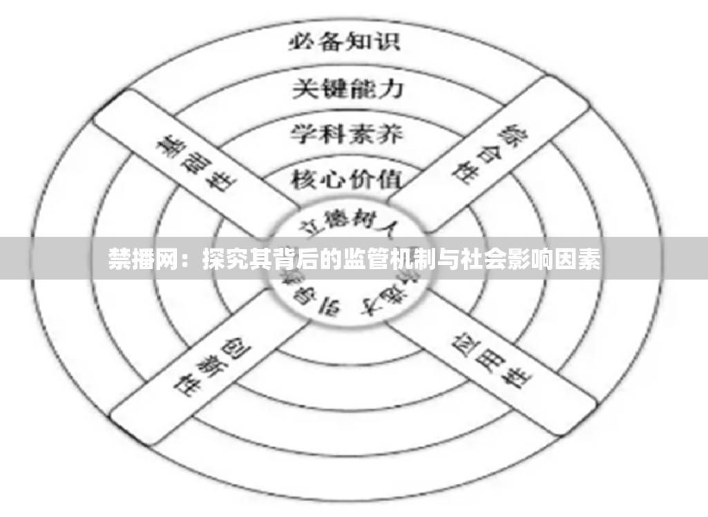 禁播网：探究其背后的监管机制与社会影响因素