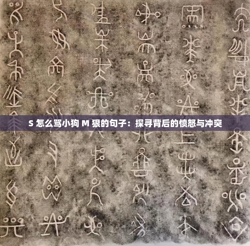 S 怎么骂小狗 M 狠的句子：探寻背后的愤怒与冲突