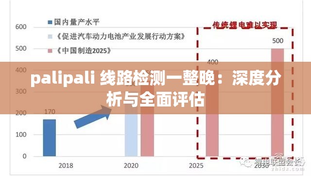 palipali 线路检测一整晚：深度分析与全面评估