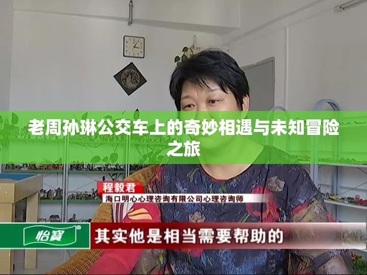 老周孙琳公交车上的奇妙相遇与未知冒险之旅