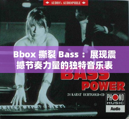 Bbox 撕裂 Bass ：展现震撼节奏力量的独特音乐表演