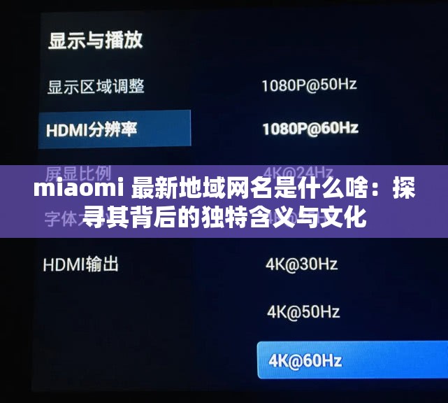 miaomi 最新地域网名是什么啥：探寻其背后的独特含义与文化