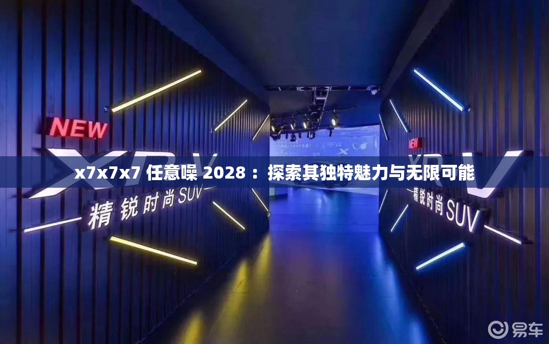 x7x7x7 任意噪 2028 ：探索其独特魅力与无限可能