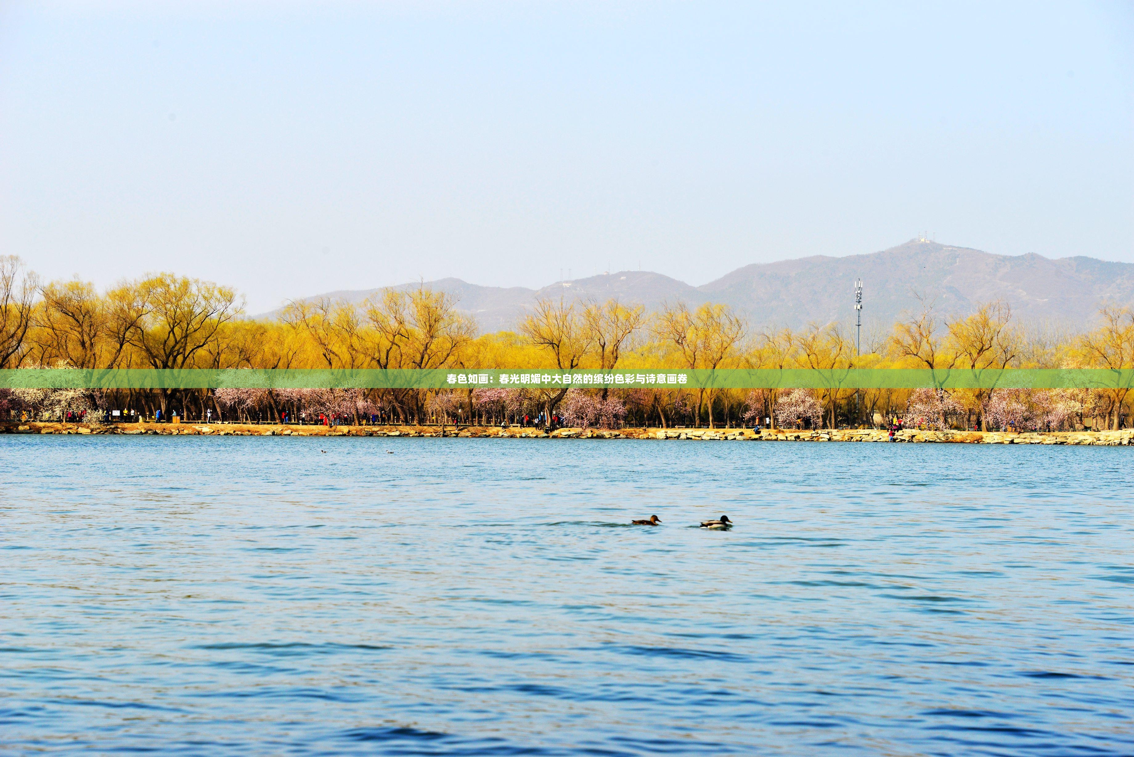 春色如画：春光明媚中大自然的缤纷色彩与诗意画卷