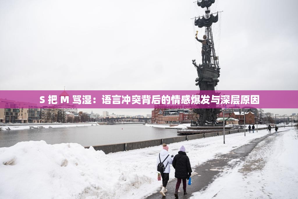 S 把 M 骂湿：语言冲突背后的情感爆发与深层原因