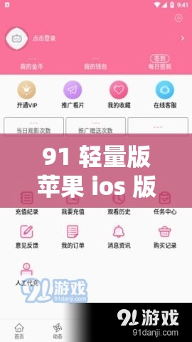 91 轻量版苹果 ios 版：功能强大操作便捷体验出色