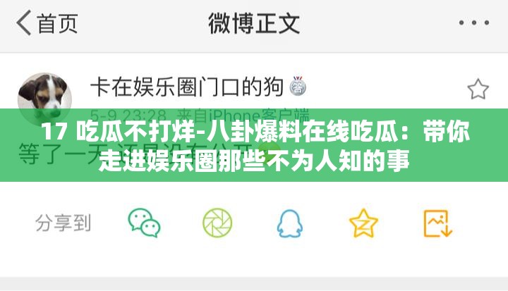 17 吃瓜不打烊-八卦爆料在线吃瓜：带你走进娱乐圈那些不为人知的事