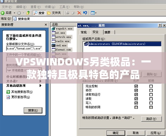 VPSWINDOWS另类极品：一款独特且极具特色的产品