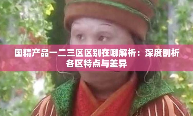 国精产品一二三区区别在哪解析：深度剖析各区特点与差异