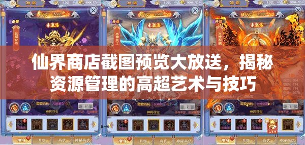 仙界商店截图预览大放送，揭秘资源管理的高超艺术与技巧