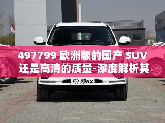 497799 欧洲版的国产 SUV 还是高清的质量-深度解析其卓越表现
