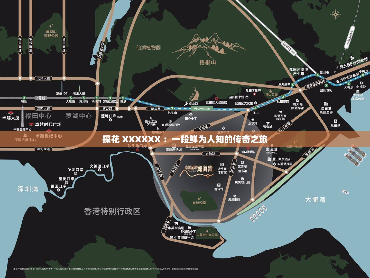 探花 XXXXXX ：一段鲜为人知的传奇之旅