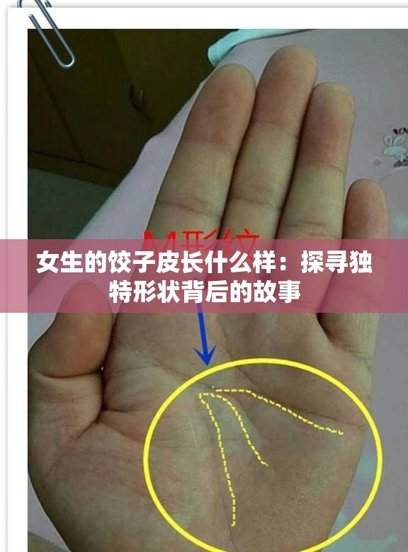 女生的饺子皮长什么样：探寻独特形状背后的故事