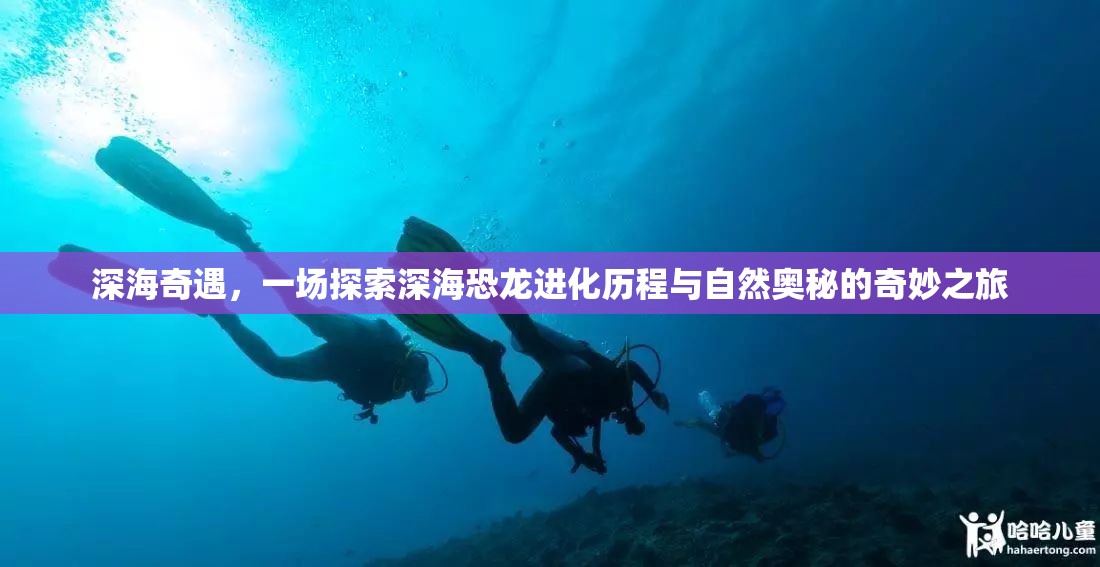 深海奇遇，一场探索深海恐龙进化历程与自然奥秘的奇妙之旅