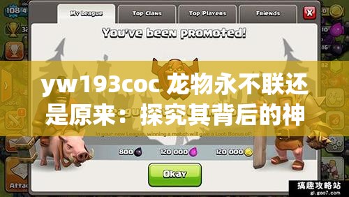 yw193coc 龙物永不联还是原来：探究其背后的神秘与独特之处