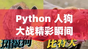 Python 人狗大战精彩瞬间：令人热血沸腾的激烈对决
