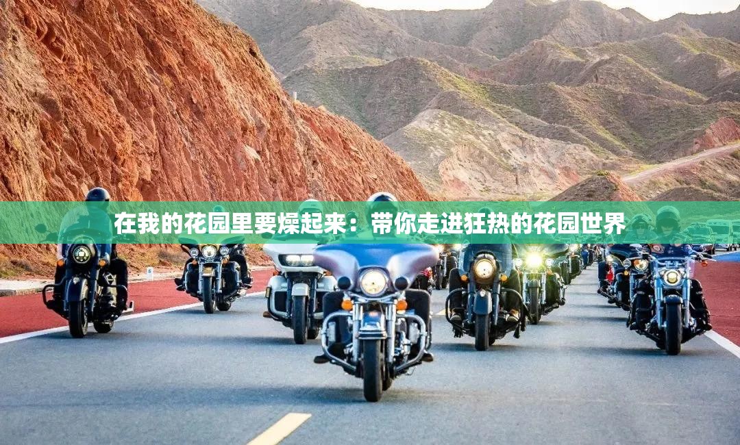 在我的花园里要燥起来：带你走进狂热的花园世界