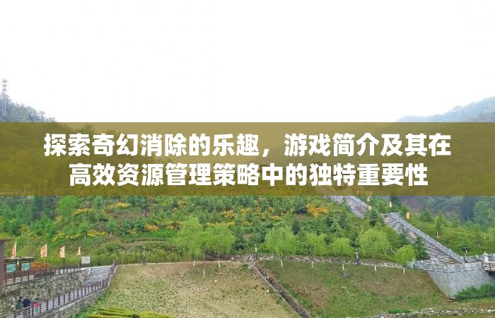 探索奇幻消除的乐趣，游戏简介及其在高效资源管理策略中的独特重要性