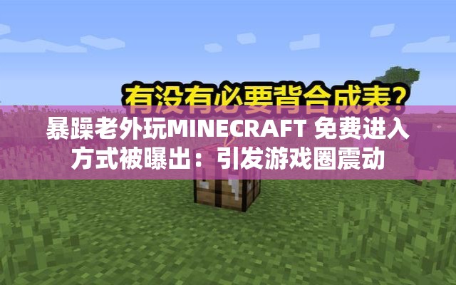 暴躁老外玩MINECRAFT 免费进入方式被曝出：引发游戏圈震动