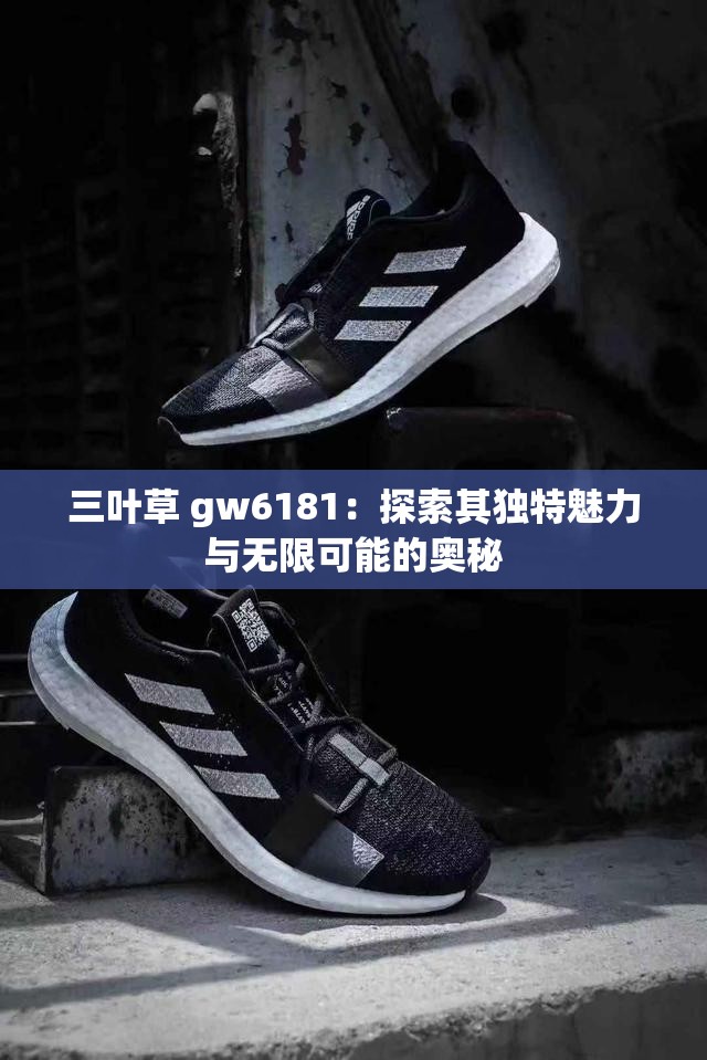 三叶草 gw6181：探索其独特魅力与无限可能的奥秘