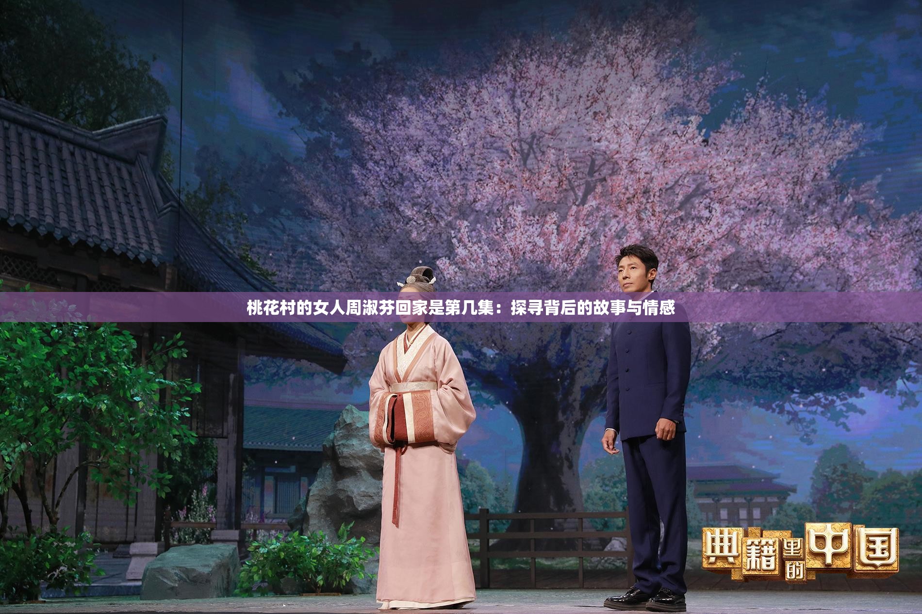 桃花村的女人周淑芬回家是第几集：探寻背后的故事与情感