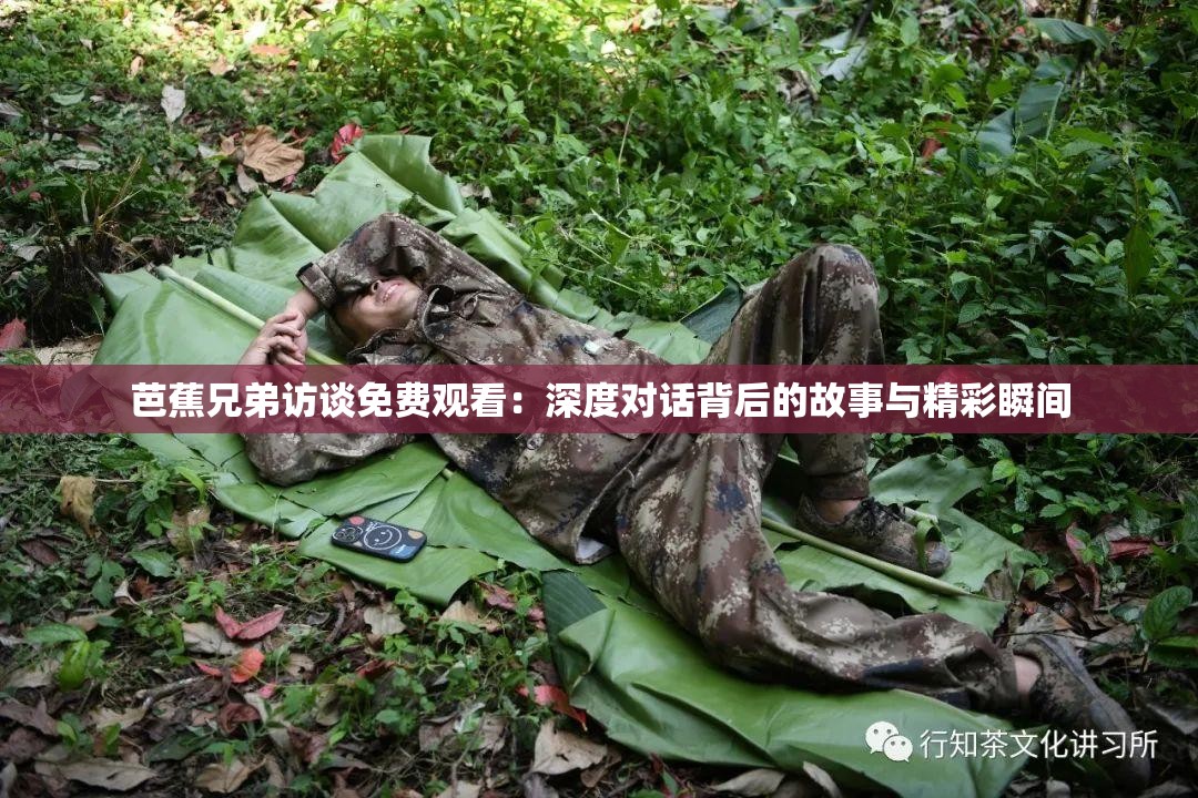 芭蕉兄弟访谈免费观看：深度对话背后的故事与精彩瞬间