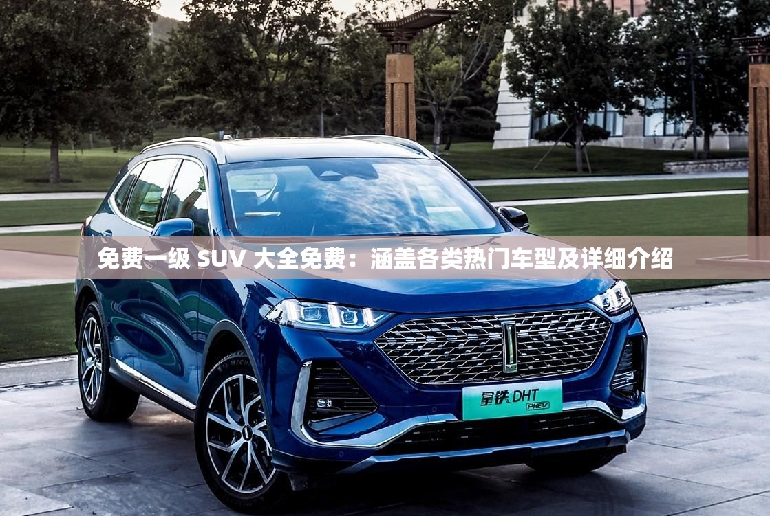 免费一级 SUV 大全免费：涵盖各类热门车型及详细介绍