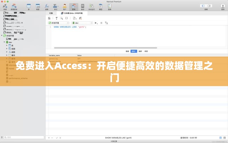 免费进入Access：开启便捷高效的数据管理之门