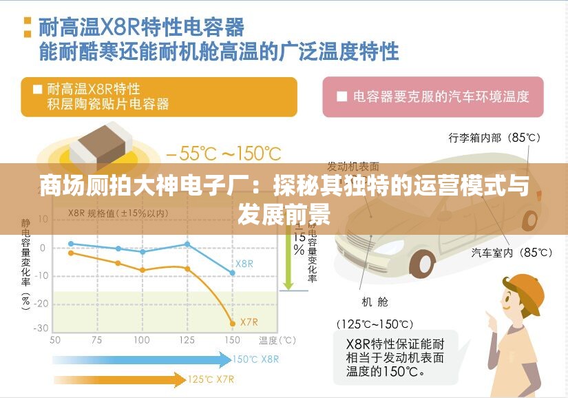 商场厕拍大神电子厂：探秘其独特的运营模式与发展前景