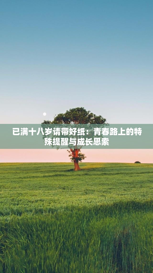 已满十八岁请带好纸：青春路上的特殊提醒与成长思索