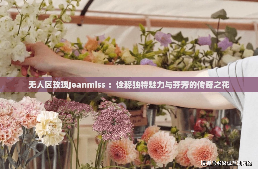 无人区玫瑰Jeanmiss ：诠释独特魅力与芬芳的传奇之花